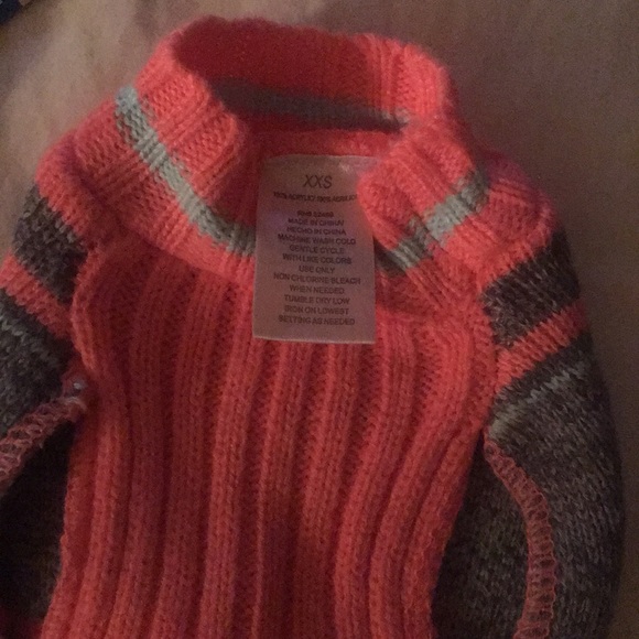 NEW Small dog leash, sweater and 2 collars - Picture 5 of 5